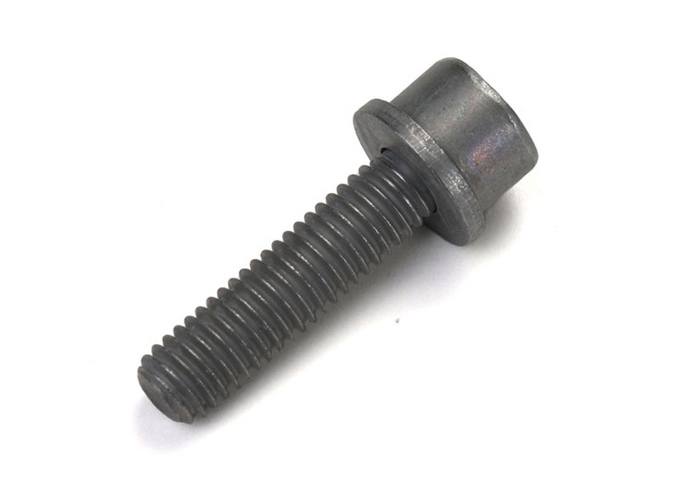 BMW Torx Bolt (M6x25) 07129905558